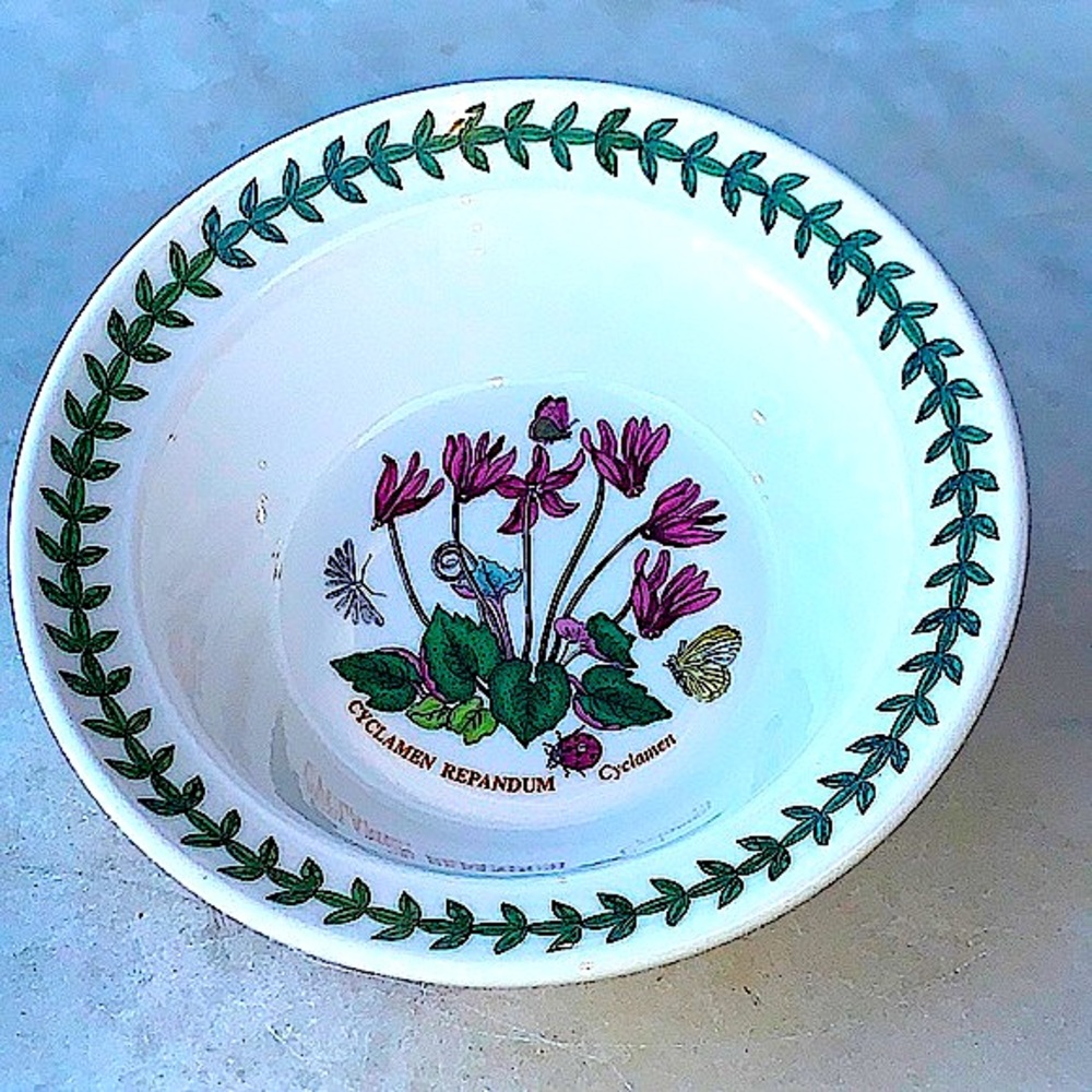 BOTANIC GARDEN BY PORTMEIRION CYCLAMEN  REPANDUM CEREAL OATMEAL BOWL NEW